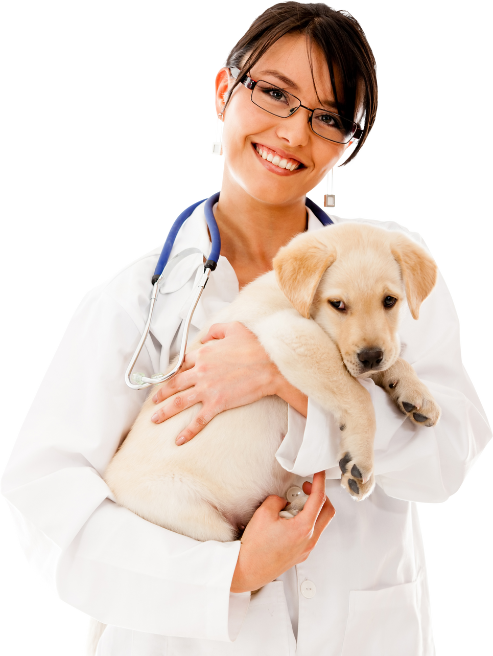 Vet Holding a Little Puppy