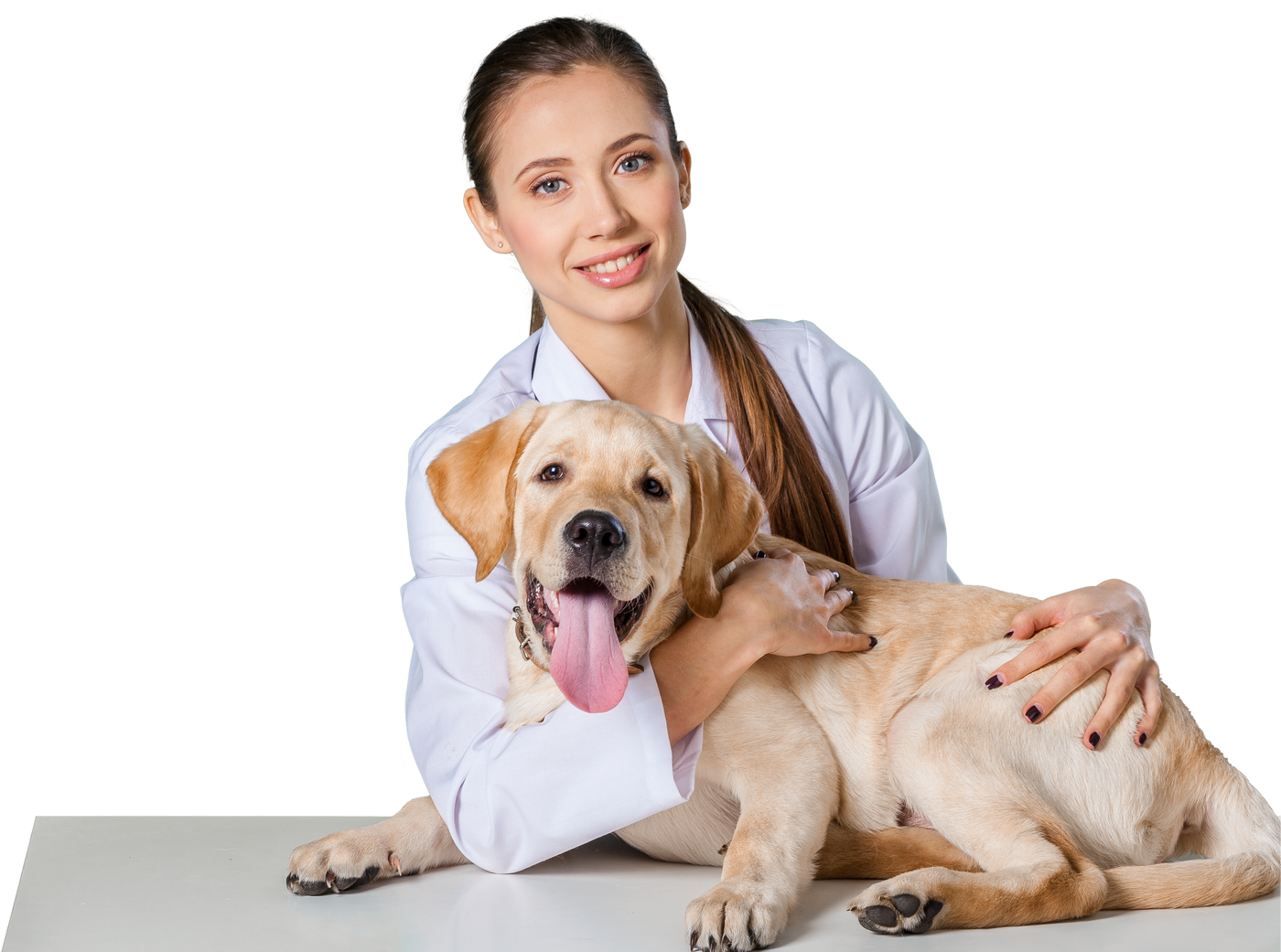 Vet Holding a Dog